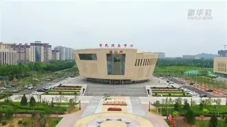 包含T甛???-乐鱼电竞入口